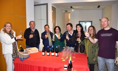 Município de Portalegre