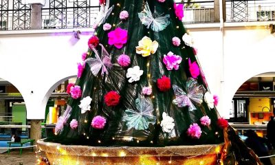 Iremos ter o nosso Mercado habitual das quartas-feiras, nos dias 24 e 31 de dez…