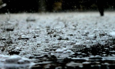 Chuva e vento colocam 11 distritos sob aviso amarelo na terça-feira