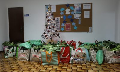 Câmara Municipal atribui cabazes de Natal solidários

Este Natal, a Câmara Munic…