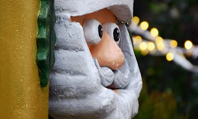 Viagem ao Polo Norte cancelada no Jardim de Natal

O conto teatralizado “Viagem …