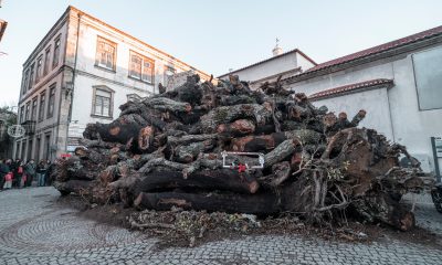 Hoje é dia de acender o Maior Madeiro de Portugal

É hoje o grande dia em que é …