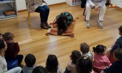 Na Biblioteca Municipal, o final da passada semana foi dominado por momentos de …