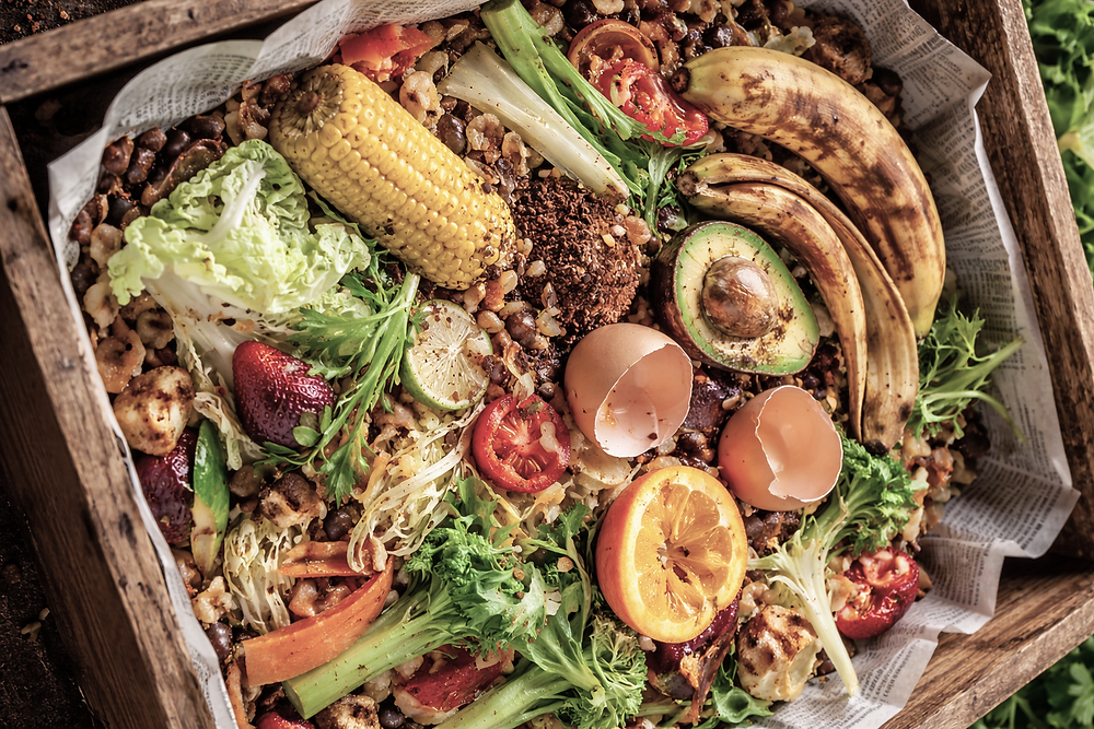 PORTUGAL AINDA LONGE DAS METAS NA RECOLHA SELETIVA DE BIORRESÍDUOS