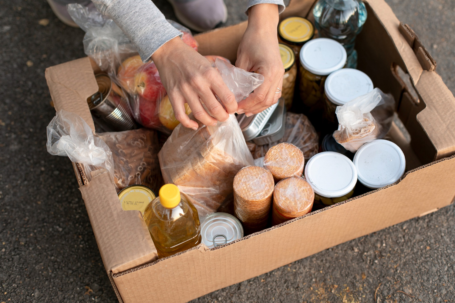 Castelo de Paiva realiza recolha de bens alimentares nos dias 6 e 7 de dezembro