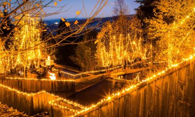 Cinfães dá início aos Parques Encantados e abre programação natalícia