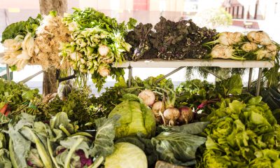 Cinfães lança edições especiais da Feira da Terra neste Natal