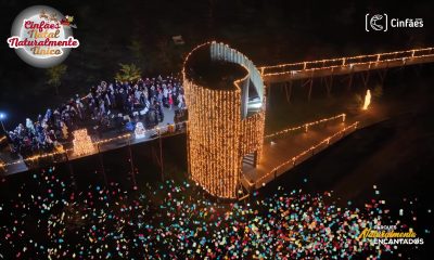 Iluminação natalícia transforma três parques de Cinfães em cenários encantados