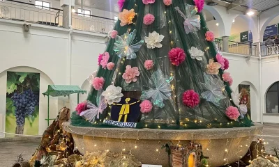 Município de Portalegre