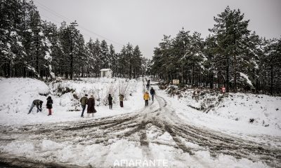 Neve cobre a serra do Marão e atrai visitantes ao cenário de inverno