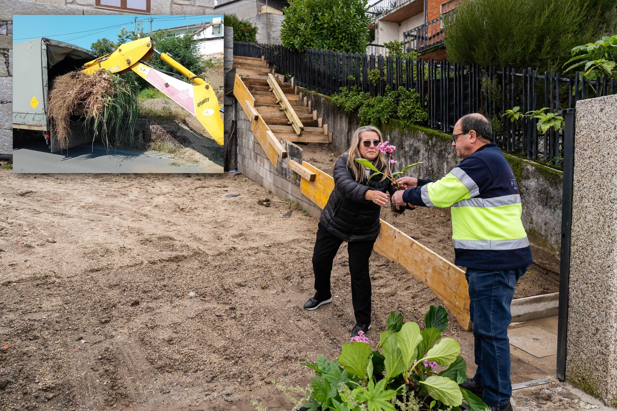 Penafiel promove substituição de espécies invasoras por plantas autóctones