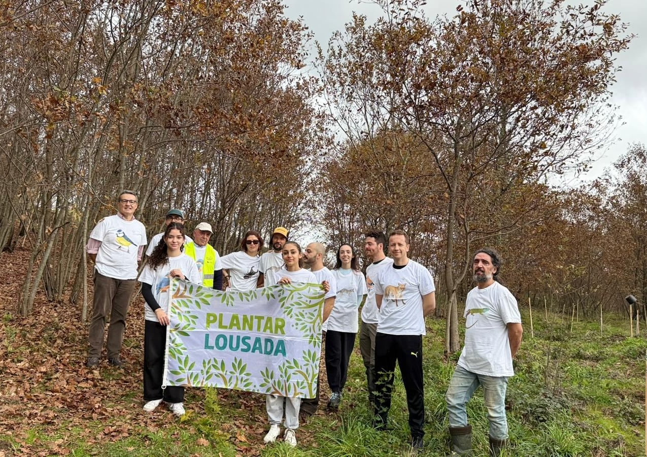 Plantar Lousada define objetivo de 250 mil árvores no território