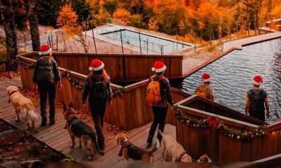 Primeira Cãominhada de Natal realiza-se em Cinfães a 20 de dezembro