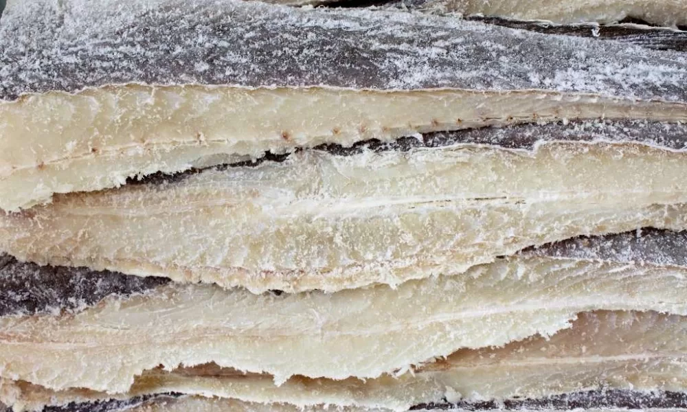 Portalegre acolhe final nacional de concurso dedicado ao Bacalhau da Islândia