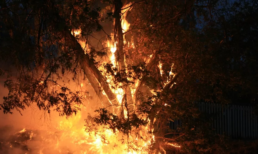 Incêndios rurais dispararam mais de 30% no último ano