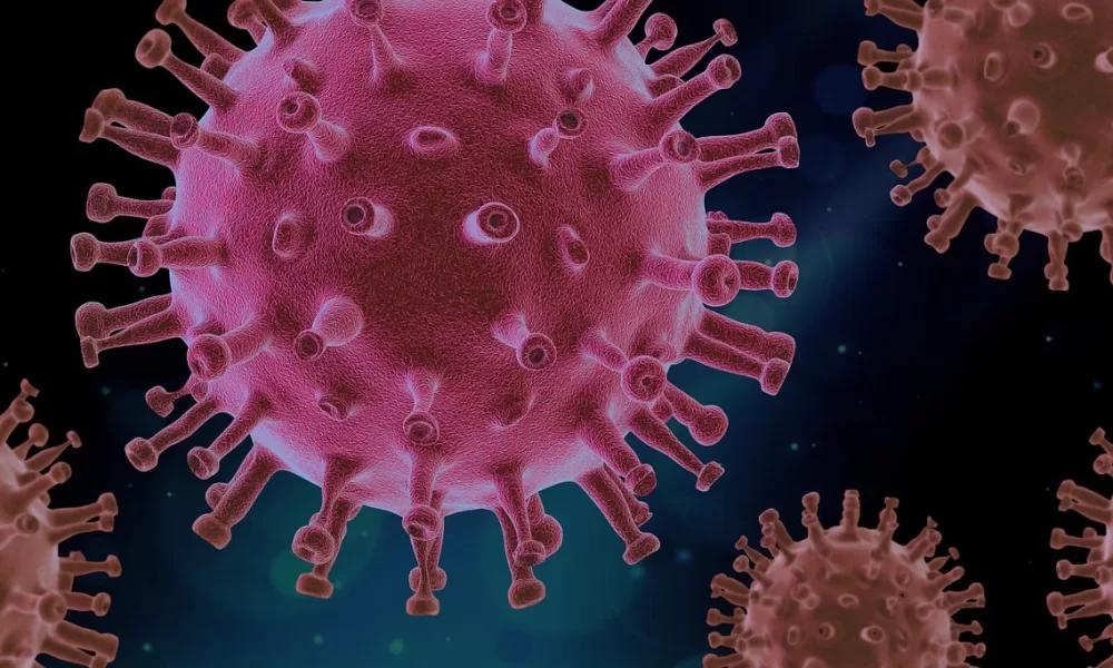 Mortalidade em Portugal mantém-se acima do esperado apesar da quebra nos casos de gripe