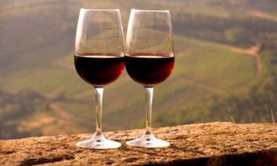 Fernando Pó celebra tradição vitivinícola na 29.ª Mostra de Vinhos