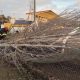Depressão que atingiu o território nacional provoca danos no concelho.