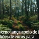 CM Pampilhosa da Serra / Governo lança apoio de 12,1 milhões de euros para reforçar a gestão florestal e prevenir incêndios