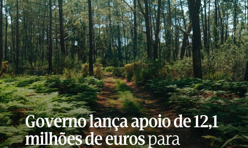 CM Pampilhosa da Serra / Governo lança apoio de 12,1 milhões de euros para reforçar a gestão florestal e prevenir incêndios