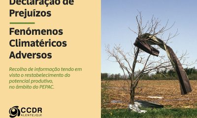 𝗗𝗲𝗰𝗹𝗮𝗿𝗮çã𝗼 𝗱𝗲 𝗣𝗿𝗲𝗷𝘂í𝘇𝗼𝘀 – 𝗙𝗲𝗻ó𝗺𝗲𝗻𝗼𝘀 𝗖𝗹𝗶𝗺𝗮𝘁é𝗿𝗶𝗰𝗼𝘀 𝗔𝗱𝘃𝗲𝗿𝘀𝗼𝘀

Encontra-se disponív…