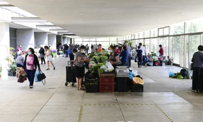 Guimarães anuncia incentivo para feirantes e lojas que promovem a sustentabilidade