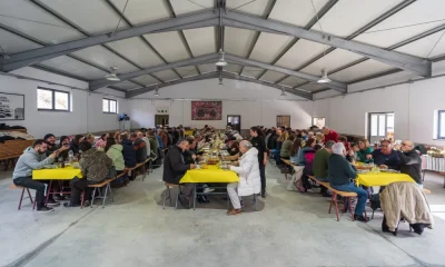 Passeio Micológico reuniu mais de uma centena de participantes