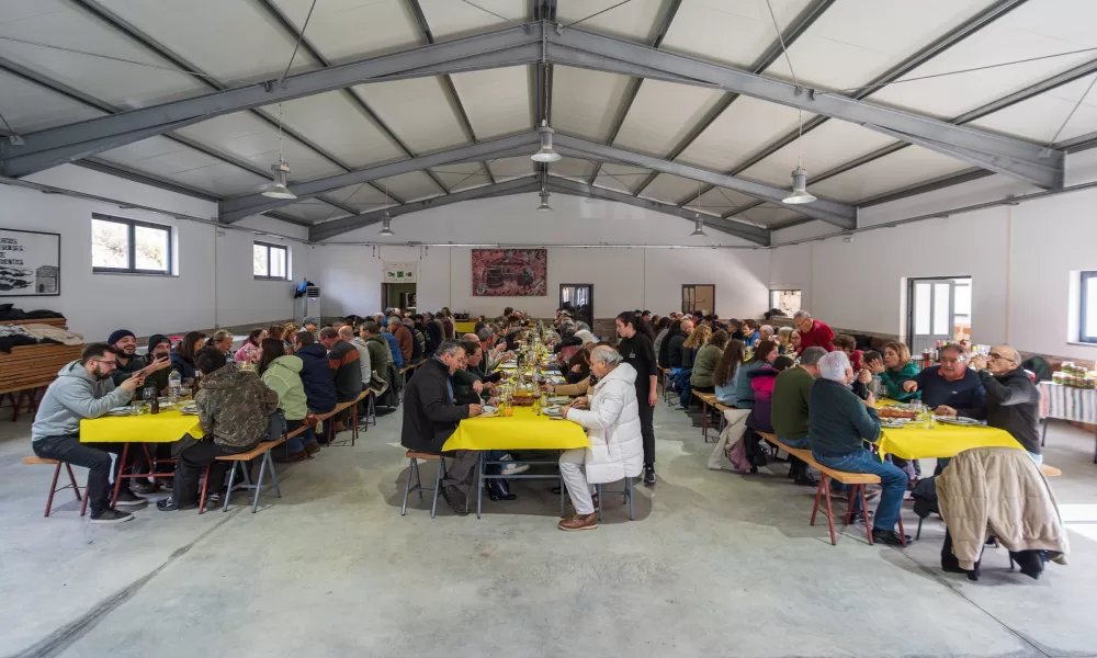 Passeio Micológico reuniu mais de uma centena de participantes