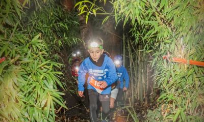 DIVULGAÇÃO DE ATIVIDADES A DECORRER NO CONCELHO
Com o apoio do Município de Por…