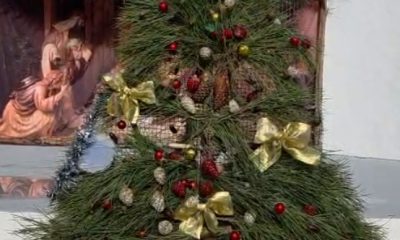 O Projeto Eco-Natal, uma parceria da Câmara Municipal de Portalegre com as escol…