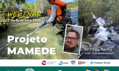 02 fevereiro | 14h30
Projeto MAMEDE
Por: Filipe Banha | MARE – Universidade de É…