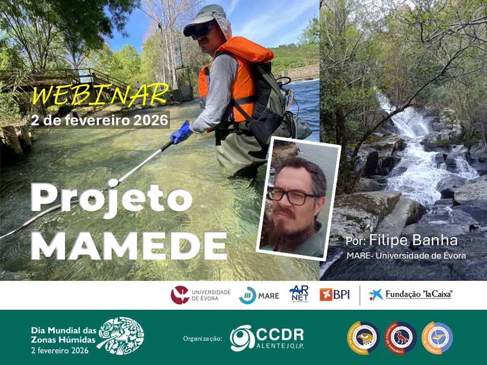02 fevereiro | 14h30
Projeto MAMEDE
Por: Filipe Banha | MARE – Universidade de É…
