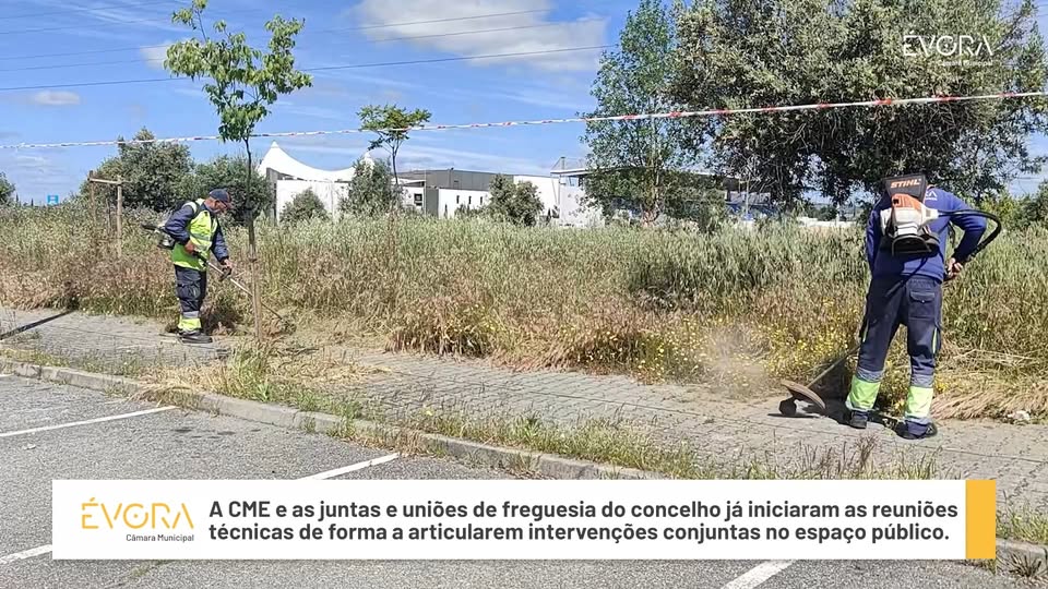 Magazine Semanal
Síntese informativa no Município de Évora.