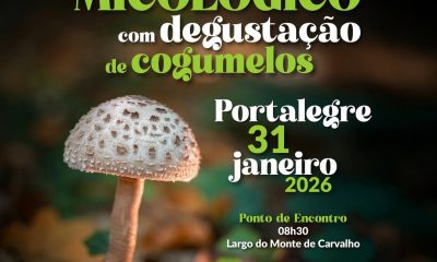 Passeio Micológico com Degustação de Cogumelos – 31 de janeiro 
Ponto de Encontr…