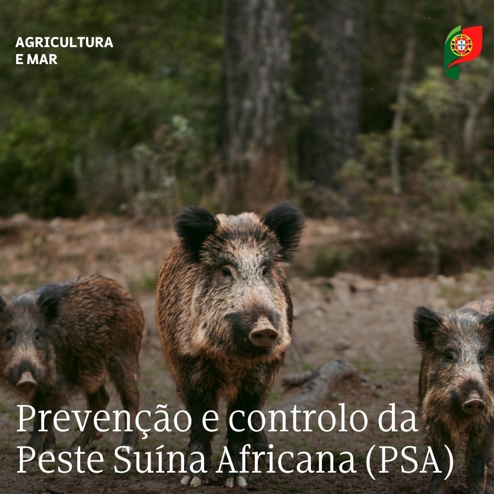 INFORMAÇÃO SOBRE A PESTE SUÍNA AFRICANA

A peste suína africana (PSA) é uma doen…