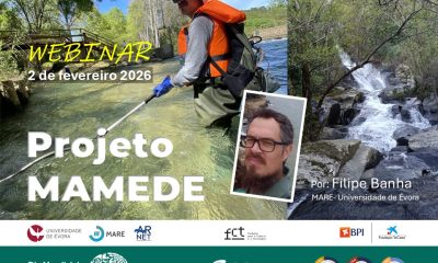 DIVULGAÇÃO

WEBINAR | PROJETO MAMEDE

Dia 2 de fevereiro (quinta-feira), pelas 1…