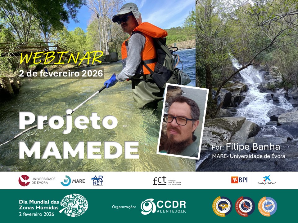 DIVULGAÇÃO

WEBINAR | PROJETO MAMEDE

Dia 2 de fevereiro (quinta-feira), pelas 1…