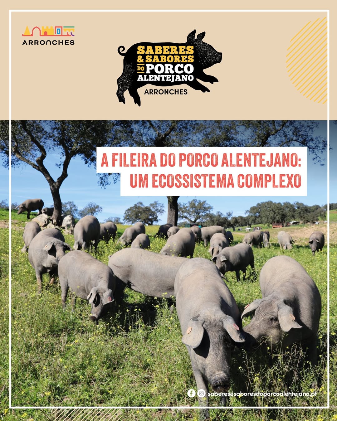 A FILEIRA DO PORCO ALENTEJANO: UM ECOSSISTEMA COMPLEXO

Falar do Porco Alentejan…