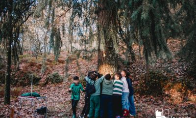 Escolas madrinhas visitam os seus “Gigantes Verdes” na Mata de Vilar em Lousada