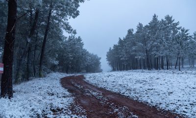 Devido à previsão de queda de neve e formação de gelo no concelho de Portalegre,…