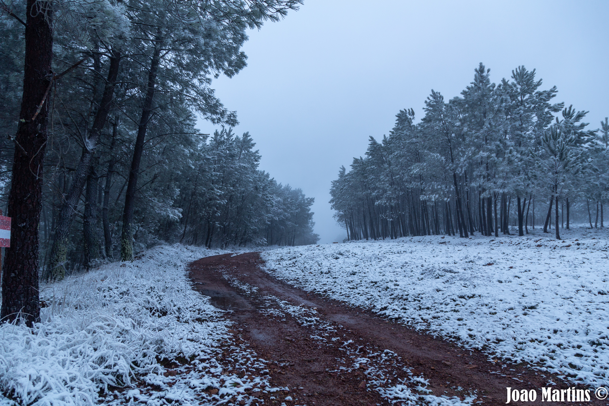 Devido à previsão de queda de neve e formação de gelo no concelho de Portalegre,…