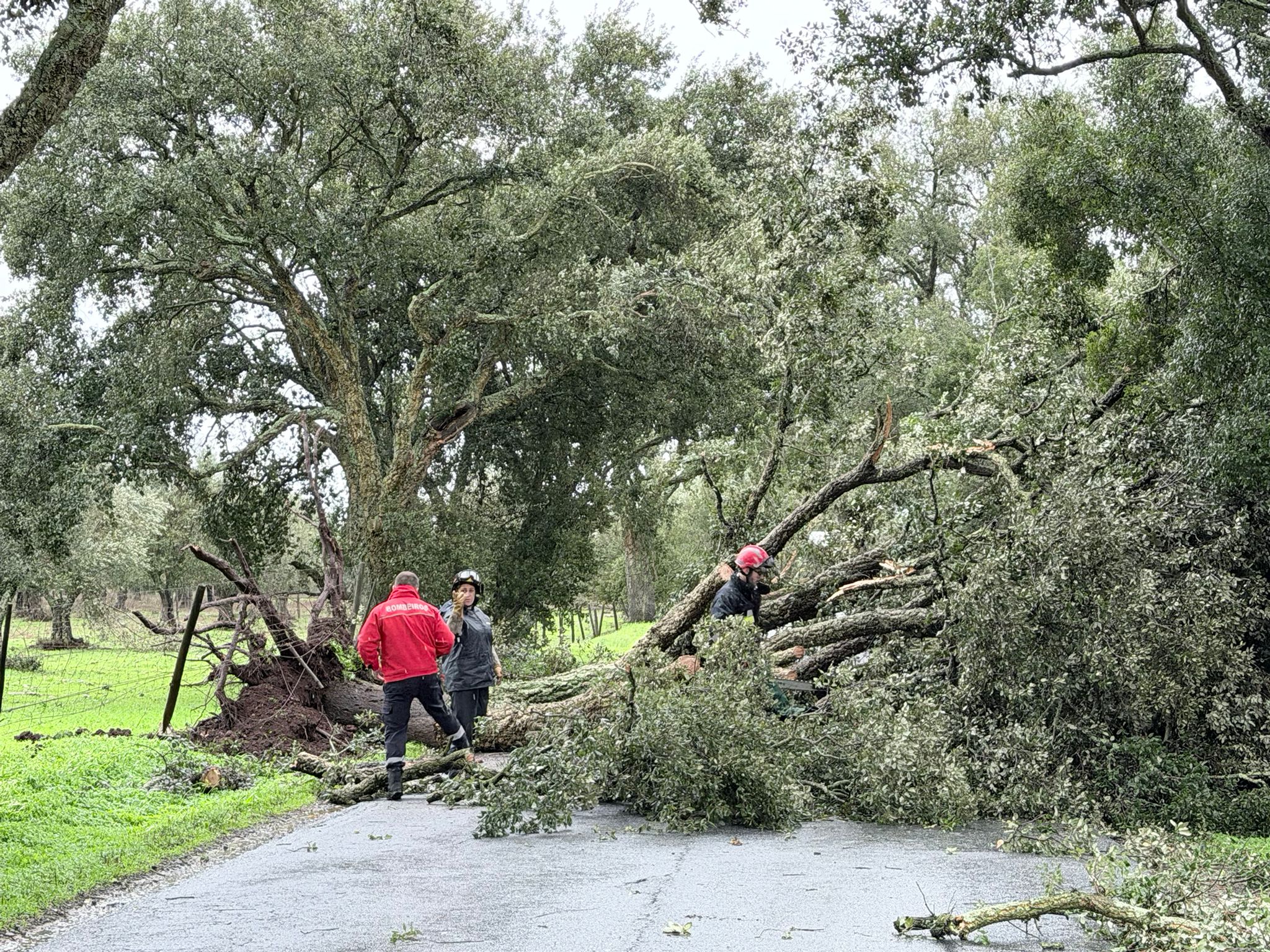 Aviso à População | Condicionamento de Trânsito – EN257

A ligação rodoviária d…