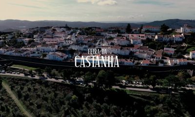 Recorde os melhores momentos da 41ª Festa do Castanheiro – Feira da Castanha.

…