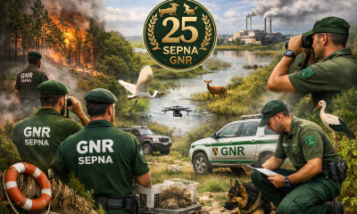 GNR celebra 25 anos de polícia ambiental nacional