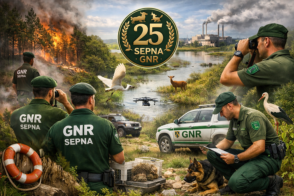 GNR celebra 25 anos de polícia ambiental nacional