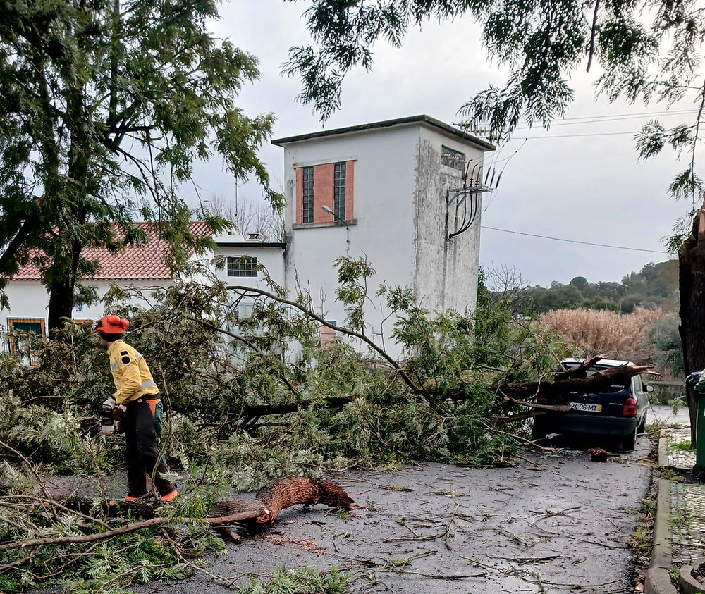 Depressão Kristin – Sapadores Florestais da CIMAA no terreno com trabalhos de reposição da normalidade