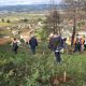 ‘Lés-a-Lés’ planta bosquete mais de uma centena de árvores em Faiões
