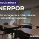 NERPOR lança Incubadora de Empresas em Portalegre para apoiar novos negócios e startups