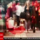 A depressão #KRISTIN poderá provocar ventos superiores a 140 km/h na próxima ma…