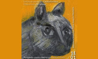 Apresentação de livro sobre “um gato amarelo” junta leitura e música no Marco de Canaveses